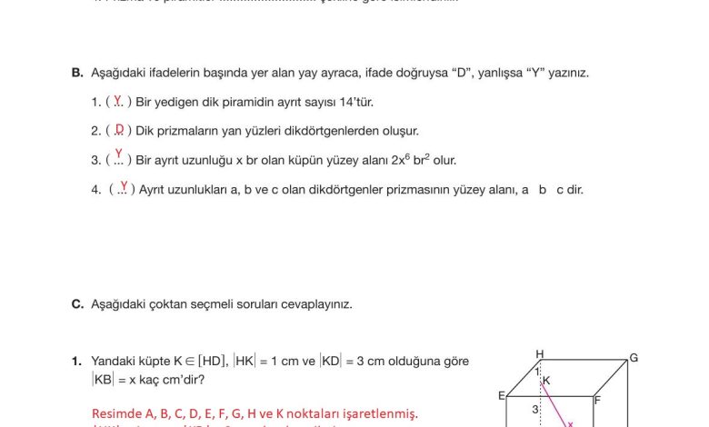 10. Sınıf Hecce Yayıncılık Matematik Ders Kitabı Sayfa 341 Cevapları