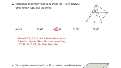 10. Sınıf Hecce Yayıncılık Matematik Ders Kitabı Sayfa 342 Cevapları