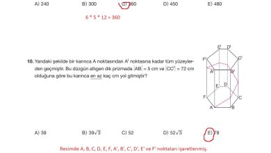 10. Sınıf Hecce Yayıncılık Matematik Ders Kitabı Sayfa 344 Cevapları