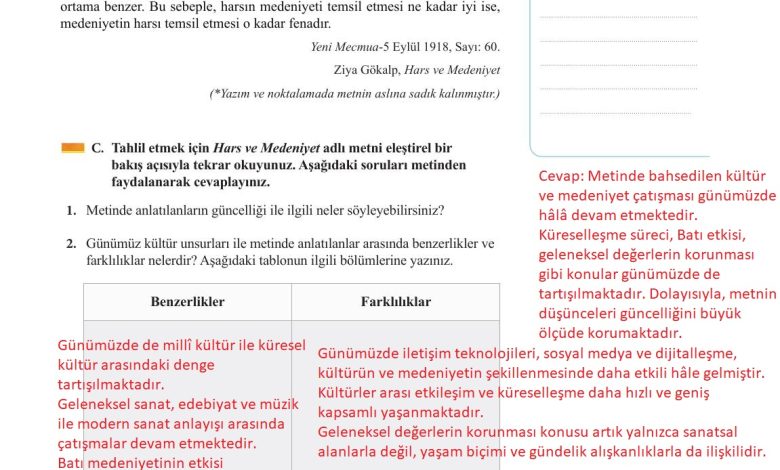 11. Sınıf Meb Yayınları Metin Tahlilleri Ders Kitabı Sayfa 248 Cevapları