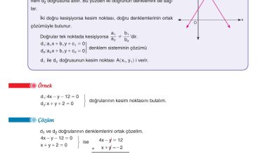 11. Sınıf Sdr Dikey Yayıncılık Matematik Ders Kitabı Sayfa 113 Cevapları