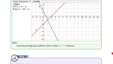 11. Sınıf Sdr Dikey Yayıncılık Matematik Ders Kitabı Sayfa 114 Cevapları