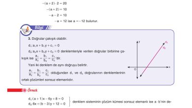 11. Sınıf Sdr Dikey Yayıncılık Matematik Ders Kitabı Sayfa 115 Cevapları