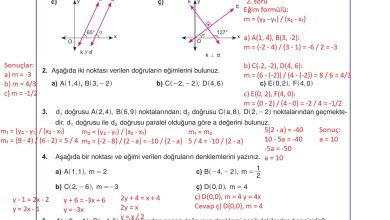 11. Sınıf Sdr Dikey Yayıncılık Matematik Ders Kitabı Sayfa 116 Cevapları