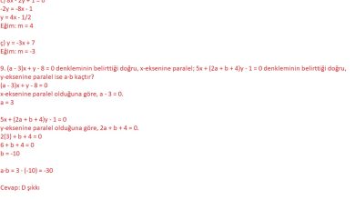 11. Sınıf Sdr Dikey Yayıncılık Matematik Ders Kitabı Sayfa 117 Cevapları