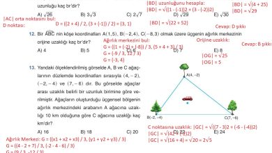 11. Sınıf Sdr Dikey Yayıncılık Matematik Ders Kitabı Sayfa 124 Cevapları