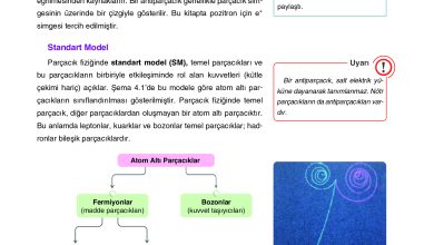 12. Sınıf Yıldırım Yayınları Fizik Ders Kitabı Sayfa 161 Cevapları