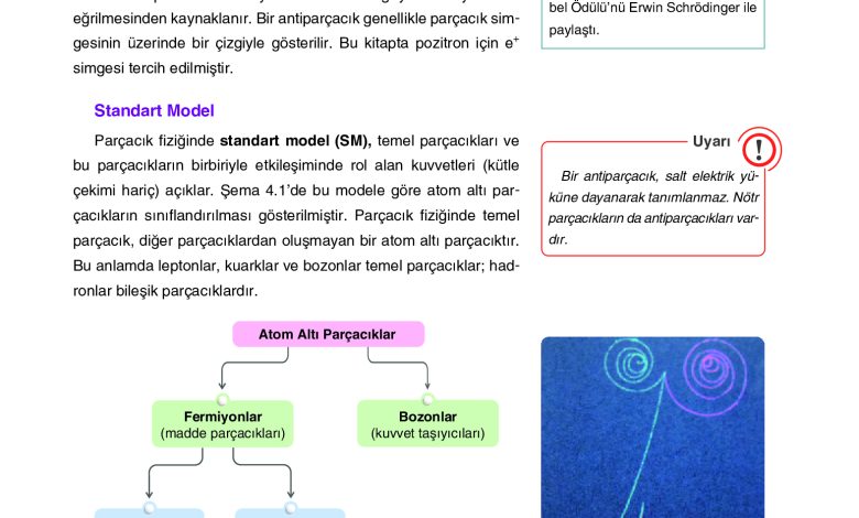 12. Sınıf Yıldırım Yayınları Fizik Ders Kitabı Sayfa 161 Cevapları