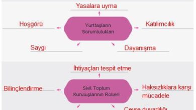 4. Sınıf Hecce Yayıncılık İnsan Hakları Yurttaşlık Ve Demokrasi Ders Kitabı Sayfa 101 Cevapları