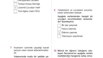 4. Sınıf Hecce Yayıncılık İnsan Hakları Yurttaşlık Ve Demokrasi Ders Kitabı Sayfa 100 Cevapları