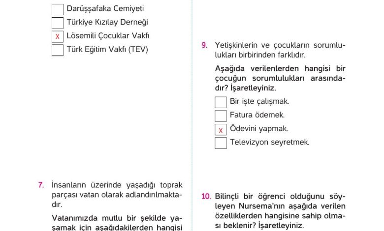 4. Sınıf Hecce Yayıncılık İnsan Hakları Yurttaşlık Ve Demokrasi Ders Kitabı Sayfa 100 Cevapları