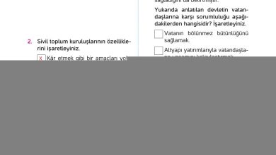 4. Sınıf Hecce Yayıncılık İnsan Hakları Yurttaşlık Ve Demokrasi Ders Kitabı Sayfa 99 Cevapları