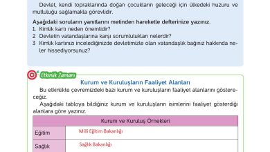 4. Sınıf Hecce Yayıncılık İnsan Hakları Yurttaşlık Ve Demokrasi Ders Kitabı Sayfa 93 Cevapları