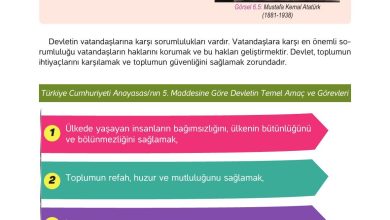 4. Sınıf Hecce Yayıncılık İnsan Hakları Yurttaşlık Ve Demokrasi Ders Kitabı Sayfa 92 Cevapları