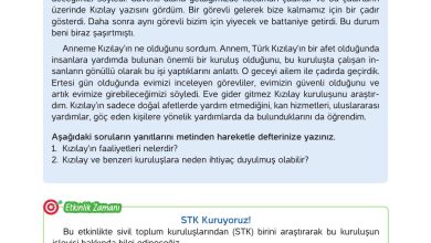 4. Sınıf Hecce Yayıncılık İnsan Hakları Yurttaşlık Ve Demokrasi Ders Kitabı Sayfa 91 Cevapları