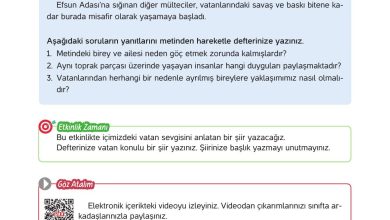 4. Sınıf Hecce Yayıncılık İnsan Hakları Yurttaşlık Ve Demokrasi Ders Kitabı Sayfa 89 Cevapları