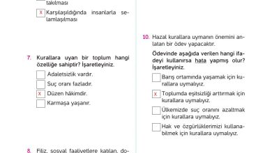 4. Sınıf Hecce Yayıncılık İnsan Hakları Yurttaşlık Ve Demokrasi Ders Kitabı Sayfa 84 Cevapları