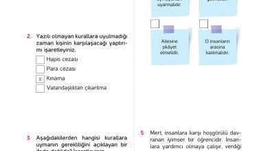 4. Sınıf Hecce Yayıncılık İnsan Hakları Yurttaşlık Ve Demokrasi Ders Kitabı Sayfa 83 Cevapları