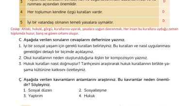 4. Sınıf Hecce Yayıncılık İnsan Hakları Yurttaşlık Ve Demokrasi Ders Kitabı Sayfa 82 Cevapları