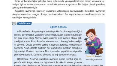 4. Sınıf Hecce Yayıncılık İnsan Hakları Yurttaşlık Ve Demokrasi Ders Kitabı Sayfa 80 Cevapları