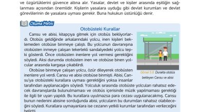 4. Sınıf Hecce Yayıncılık İnsan Hakları Yurttaşlık Ve Demokrasi Ders Kitabı Sayfa 78 Cevapları