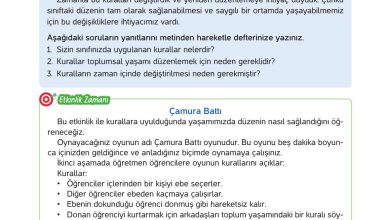 4. Sınıf Hecce Yayıncılık İnsan Hakları Yurttaşlık Ve Demokrasi Ders Kitabı Sayfa 75 Cevapları