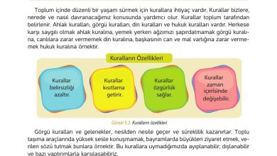 4. Sınıf Hecce Yayıncılık İnsan Hakları Yurttaşlık Ve Demokrasi Ders Kitabı Sayfa 74 Cevapları