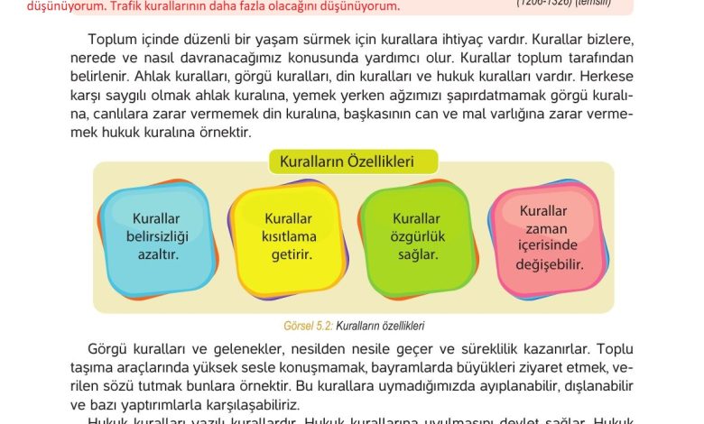 4. Sınıf Hecce Yayıncılık İnsan Hakları Yurttaşlık Ve Demokrasi Ders Kitabı Sayfa 74 Cevapları