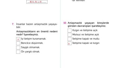 4. Sınıf Hecce Yayıncılık İnsan Hakları Yurttaşlık Ve Demokrasi Ders Kitabı Sayfa 70 Cevapları