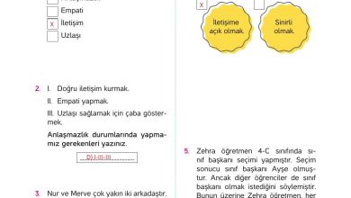 4. Sınıf Hecce Yayıncılık İnsan Hakları Yurttaşlık Ve Demokrasi Ders Kitabı Sayfa 69 Cevapları