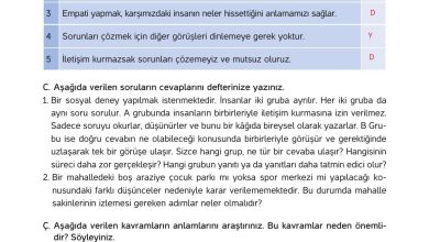 4. Sınıf Hecce Yayıncılık İnsan Hakları Yurttaşlık Ve Demokrasi Ders Kitabı Sayfa 68 Cevapları