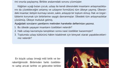 4. Sınıf Hecce Yayıncılık İnsan Hakları Yurttaşlık Ve Demokrasi Ders Kitabı Sayfa 67 Cevapları