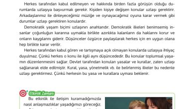 4. Sınıf Hecce Yayıncılık İnsan Hakları Yurttaşlık Ve Demokrasi Ders Kitabı Sayfa 62 Cevapları