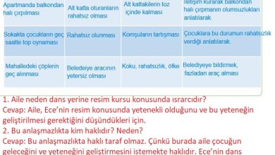 4. Sınıf Hecce Yayıncılık İnsan Hakları Yurttaşlık Ve Demokrasi Ders Kitabı Sayfa 61 Cevapları