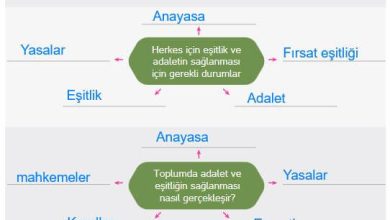 4. Sınıf Hecce Yayıncılık İnsan Hakları Yurttaşlık Ve Demokrasi Ders Kitabı Sayfa 57 Cevapları