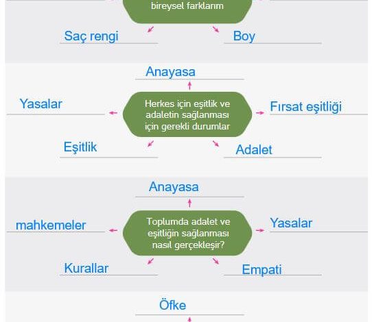 4. Sınıf Hecce Yayıncılık İnsan Hakları Yurttaşlık Ve Demokrasi Ders Kitabı Sayfa 57 Cevapları