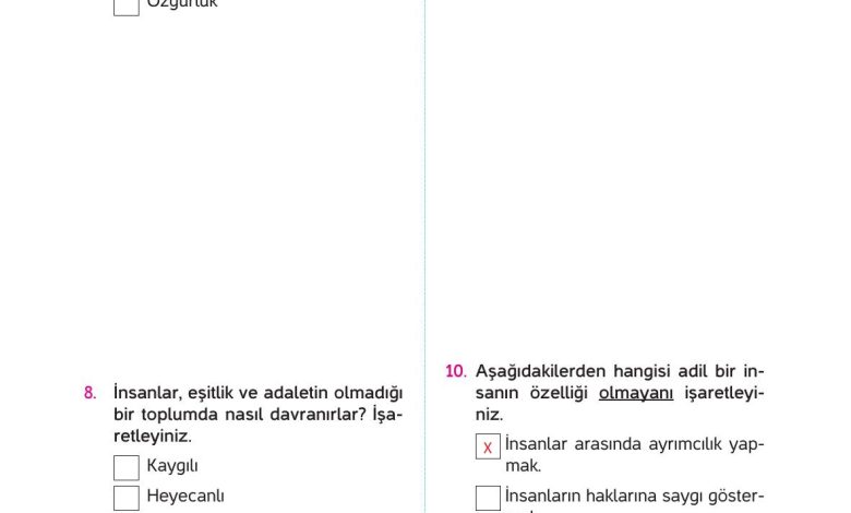 4. Sınıf Hecce Yayıncılık İnsan Hakları Yurttaşlık Ve Demokrasi Ders Kitabı Sayfa 56 Cevapları