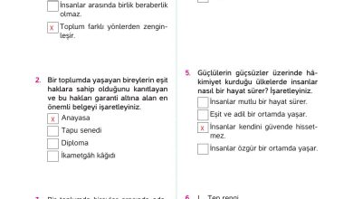 4. Sınıf Hecce Yayıncılık İnsan Hakları Yurttaşlık Ve Demokrasi Ders Kitabı Sayfa 55 Cevapları