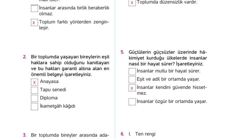 4. Sınıf Hecce Yayıncılık İnsan Hakları Yurttaşlık Ve Demokrasi Ders Kitabı Sayfa 55 Cevapları