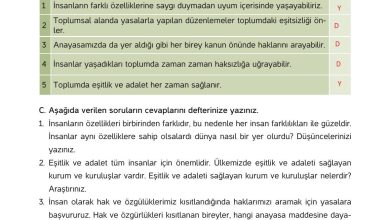 4. Sınıf Hecce Yayıncılık İnsan Hakları Yurttaşlık Ve Demokrasi Ders Kitabı Sayfa 54 Cevapları