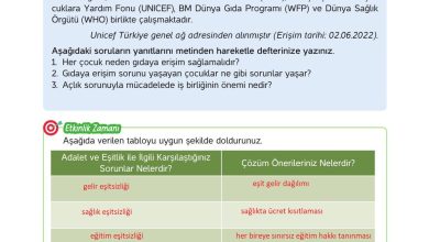 4. Sınıf Hecce Yayıncılık İnsan Hakları Yurttaşlık Ve Demokrasi Ders Kitabı Sayfa 47 Cevapları