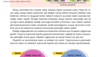 4. Sınıf Hecce Yayıncılık İnsan Hakları Yurttaşlık Ve Demokrasi Ders Kitabı Sayfa 46 Cevapları