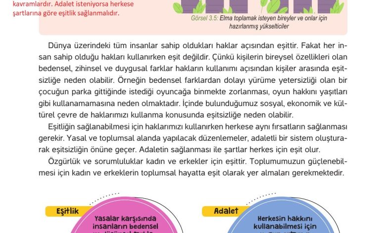 4. Sınıf Hecce Yayıncılık İnsan Hakları Yurttaşlık Ve Demokrasi Ders Kitabı Sayfa 46 Cevapları