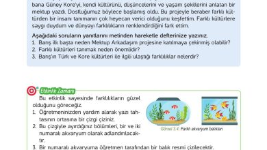 4. Sınıf Hecce Yayıncılık İnsan Hakları Yurttaşlık Ve Demokrasi Ders Kitabı Sayfa 45 Cevapları