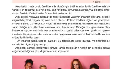 4. Sınıf Hecce Yayıncılık İnsan Hakları Yurttaşlık Ve Demokrasi Ders Kitabı Sayfa 44 Cevapları