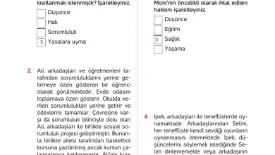 4. Sınıf Hecce Yayıncılık İnsan Hakları Yurttaşlık Ve Demokrasi Ders Kitabı Sayfa 39 Cevapları