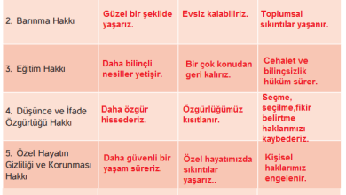 4. Sınıf Hecce Yayıncılık İnsan Hakları Yurttaşlık Ve Demokrasi Ders Kitabı Sayfa 37 Cevapları