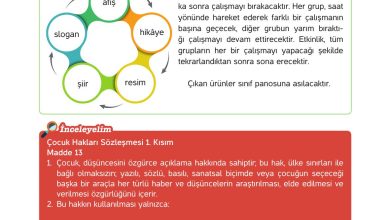 4. Sınıf Hecce Yayıncılık İnsan Hakları Yurttaşlık Ve Demokrasi Ders Kitabı Sayfa 35 Cevapları