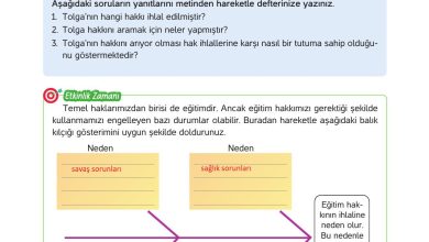 4. Sınıf Hecce Yayıncılık İnsan Hakları Yurttaşlık Ve Demokrasi Ders Kitabı Sayfa 33 Cevapları