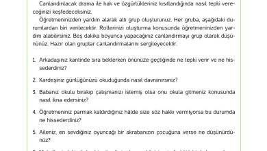 4. Sınıf Hecce Yayıncılık İnsan Hakları Yurttaşlık Ve Demokrasi Ders Kitabı Sayfa 31 Cevapları